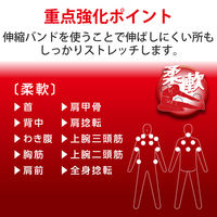 ストレッチバンド ゴルフ向け ウォーミングアップ 上半身ストレッチ ブラック HCG-PBN01BK エレコム 1個（直送品）