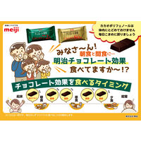チョコレート効果カカオ９５％大袋 チョコレート菓子 個包装 1セット（1個×3） 明治