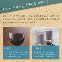 ユウキ食品 コーディアルブルーベリー＆ブラックカラント500ml 1セット（6本入） ハーブ飲料