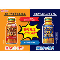 ウコンの力 フルーツ風味 1セット1本（100ml）×12） ウコンドリンク ハウスウェルネスフーズ