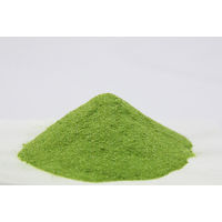 日本の青汁 100g×3袋セット　ファイン　青汁