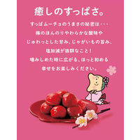 湖池屋 すっぱムーチョチップス さっぱり梅 3袋 ポテトチップス スナック菓子