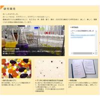 UHA味覚糖　UHAグミサプリ　鉄＆葉酸（EC限定60日分）　アサイーミックス味　1セット（1箱（120粒入）×3）　サプリメント