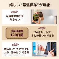 森永乳業 森永ココア 200ml 1箱（24本入）紙パック飲料