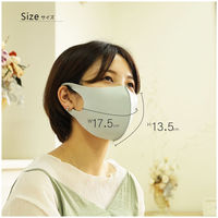 クリエイトアルファ 10セット ウレタンマスク ひんやり 冷感　マスク 男 洗える 黒 紺　灰 4582243 752800-10 1セット（直送品）