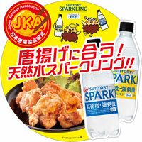 サントリー　天然水　ＳＰＡＲＫＬＩＮＧ　ラベルレス　500ml 1セット（48本）