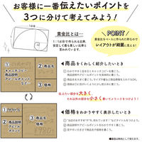 ササガワ 手書きPOP用カード 黄金比カード クラフト 16-1757 1セット(1冊(10枚)×5)