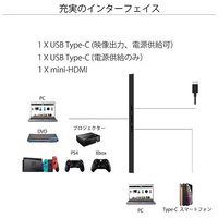 【アウトレット】JAPANNEXT モバイルモニター 10.1インチ WUXGA JN-MD-IPS1010HDR【終売品】