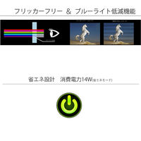 JAPANNEXT 23.8インチ ワイド液晶モニター JN-IPS2380FLWQHD