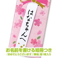 トンボ鉛筆 お祝い鉛筆 M02 2B 12本入 消しゴム付 MP-KM02-2B 1セット(2個)