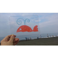 日本理化学工業 キットパスエソラ KESR-1 1個