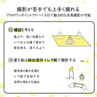 撮影用 背景 背景シート グレイッシュ(ライトグレー・ウォームグレー・グレー) A3サイズ 6枚入 DGA-BPA3GY エレコム 1個