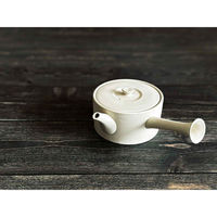 南海通商 急須 460ml ロクサン tokoname 平型 ホワイト 476136 1個（直送品）