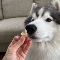 ペティオ 素材そのまま 完全無添加 生後3ヶ月からのひとくち蒸しなんこつ 75g(25g×3袋）1袋 犬用 おやつ