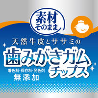 ペティオ 素材そのまま 天然牛皮とササミの歯みがきガム チップス 75g 1袋 犬用 おやつ