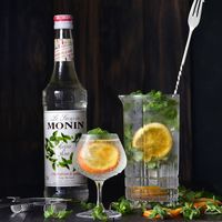 業務用 割り材 モナン モヒートミント・シロップ 700ml 6本 MONIN 割材 ドリンクベース フレーバーシロップ