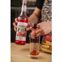 業務用 割り材 モナン ピンクグレープフルーツ・シロップ 700ml 1本 MONIN 割材 ドリンクベース フレーバーシロップ