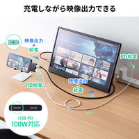 サンワサプライ USB TypeーC 拡張アダプタ(アダプタタイプ・PD対応) AD-ALCCPD01 1個