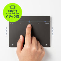 サンワサプライ Bluetoothタッチパッド MA-PB521LGM 1個