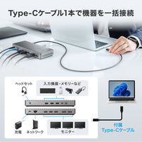 サンワサプライ ドッキングステーション(HDMI/DisplayPort・4K×3画面出力対応) USB-CVDK20 1個
