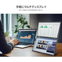 JAPANNEXT 14インチ デュアルモバイルモニター JNーDMDーIPS14WX 1台
