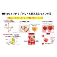グミ 食べきりサイズ カンロ ピュレグミプレミアム栃木産とちあいか苺 54g 1セット（1個×12）