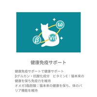 （バラエティパック）ピュリナワン 総合栄養食 バランス＆免疫ケア バラエティ（14gｘ60本）1袋 ネスレ日本 猫用 おやつ