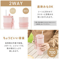 武田コーポレーション ストロータンブラー 700ml STT-700mlBK 1箱(6個入)（直送品）