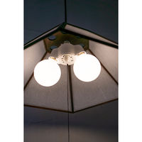 新洋電気 丹 tan-S 雲竜 AP822-2 1台（直送品）