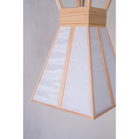 新洋電気 杯 hai 波落水+無地 AP839 1台（直送品）