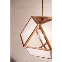 新洋電気 吟 gin ホワイトフォール AP848 1台（直送品）