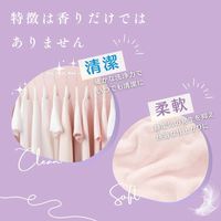 arFUM Eternal アフュ―ム エターナル ボール型洗濯洗剤 詰め替え 1セット（100粒入×3個） 王子製薬