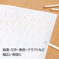 日本ノート ジャンボ画用紙 ロールタイプ 45cm幅（10m巻） KE10M45 1個