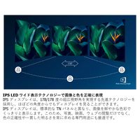 フィリップス 22.5インチ液晶モニター 230S8QHSB/11 1台