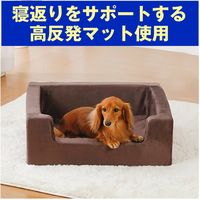 グループストア 高反発ペットベッドMサイズ 92216（直送品）