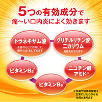 大正口内炎チュアブル錠 24錠 大正製薬 口内炎 咽頭炎 扁桃炎【第3類医薬品】