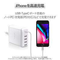エレコム USB C-Lightningケーブル/準高耐久/1.0m/シルバー MPA-CLPS10SV 1個