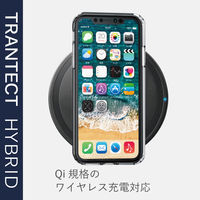iPhone 11 6.1インチ アイフォン ケース 耐衝撃 ポリカーボネート TPU シンプル 高透明 クリア PM-A19CHVCCR（直送品）