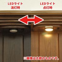 エイ・アイ・エス 現代風仏壇 蒼天（そら） 幅480×奥行320×高さ575mm ダークブラウン BUDH-101 DBR 1台（直送品）