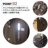 ビッグマン BM LEDペンライト 蓄光 PC-05 1個