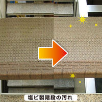 復活洗浄剤 ビニール・プラスチック用 1L #00017660041010 カンペハピオ（直送品）