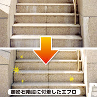 カンペハピオ 復活洗浄剤 エフロ用 4L #00017660061040 1個