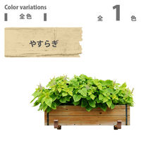 キシラデコール 白木 やすらぎ 7L #00017670040000 カンペハピオ（直送品）