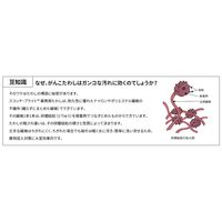 スコッチ・ブライト 異物混入対策用 焦げ・がんこな汚れ用 ブルー 1セット（5個入）GANKO BLU S スリーエム ジャパン