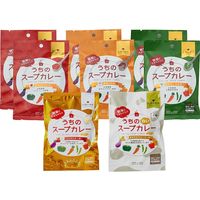 札幌の食卓 うちのスープカレーセット USC-30（直送品）