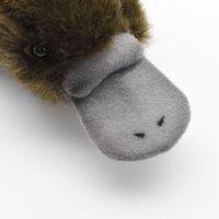 【ぬいぐるみ】HANSA ハンサ 3635 カモノハシ 29 3635（直送品）