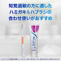 シュミテクト やさしく歯周ケア歯ブラシ 極細シルキー毛 知覚過敏ケア 薄型レギュラー ふつう 1本 Haleonジャパン