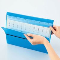 リヒトラブ(LIHIT LAB.) AQUA DROPs ドキュメントファイル A4 乳白（ホワイト） A5056-1