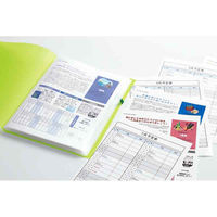 キングジム クリアーファイル ホルダーイン A4 タテ型 12P 青 6171-3Tアオ 1セット(2冊)