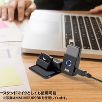 サンワサプライ WEB会議用マイク USB接続 単一指向性 MM-MCU10SV 1個（直送品）